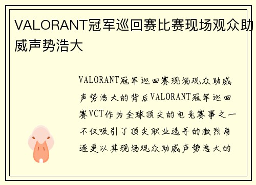 VALORANT冠军巡回赛比赛现场观众助威声势浩大